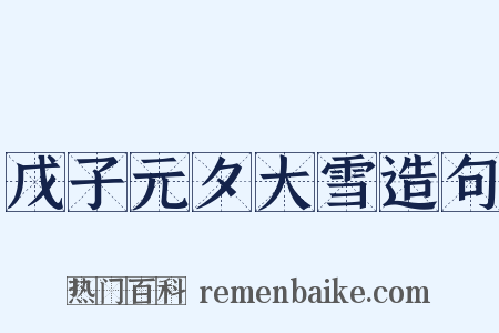 戊子元夕大雪造句是什么意思的图片